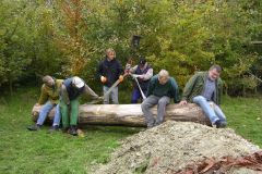 pappelwand_aufstellen