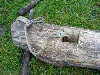 DSC01164
