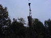 DSC01167
