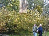 DSC01168